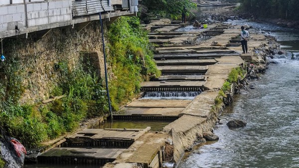 Masyarakat Manfaatkan Sungai Jadi Tempat Budi Daya Ikan